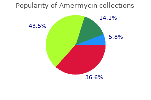 generic 200mg amermycin fast delivery